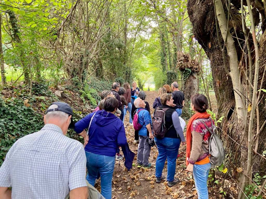 Angera, con “Il Museo Prescritto” quattro itinerari per scoprire il territorio a passo&nbsp;lento