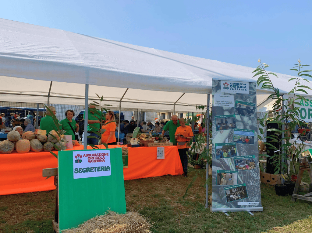 A Olgiate Olona torna la Sagra della Zucca: domenica 4 ottobre la 18ª&nbsp;edizione