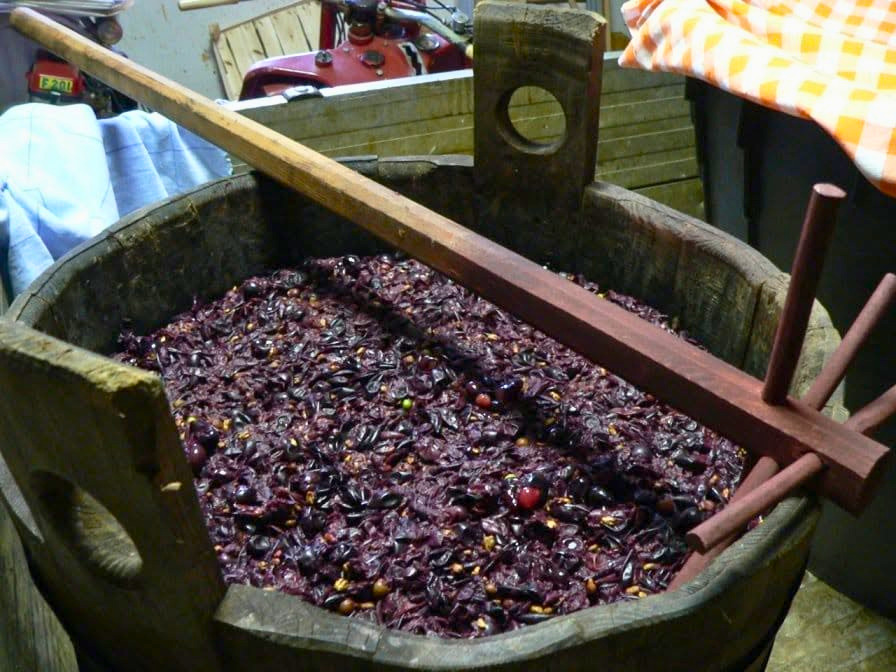 Varese, a Casbeno torna la Festa del Mosto tra castagne e musica dal&nbsp;vivo