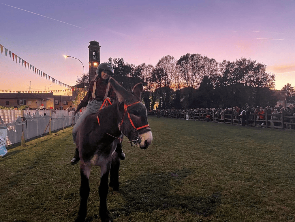 Gallarate, torna la Rama di Pomm: un mese di festa per il 78°&nbsp;Palio