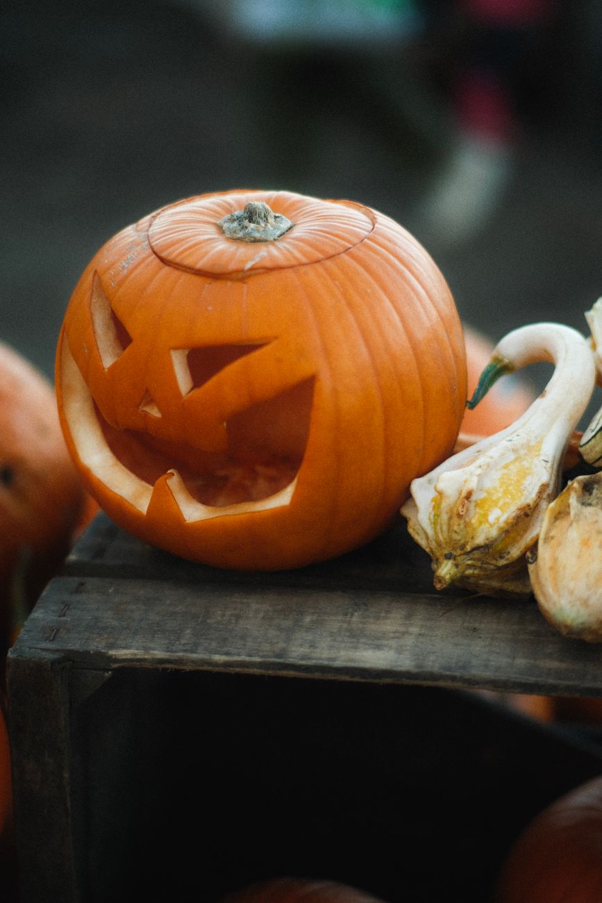 Gorla Maggiore, gran finale al Villaggio di Zucchetta: ingresso a 5 euro e una zucca in omaggio per i&nbsp;bambini