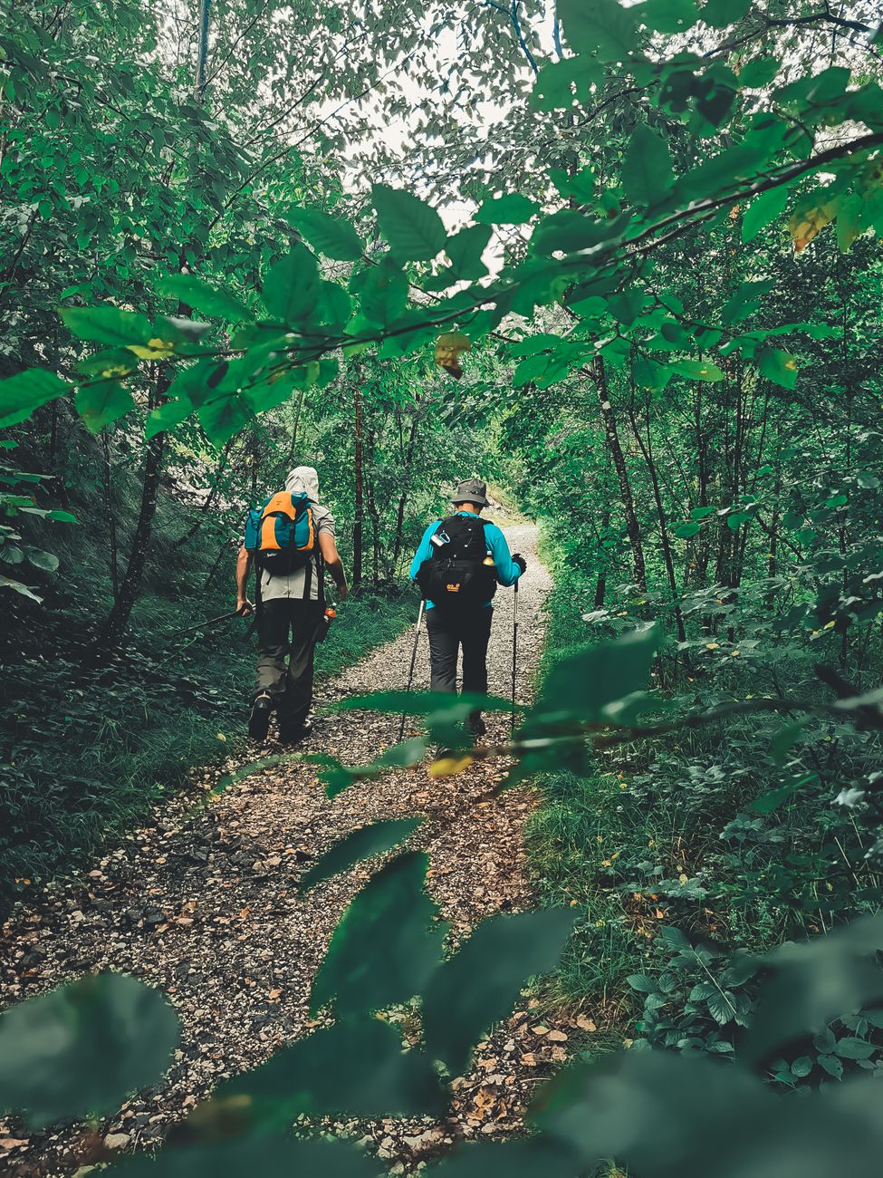 Benessere in movimento: il 4 ottobre LILT porta il Nordic Walking al Parco Alto&nbsp;Milanese