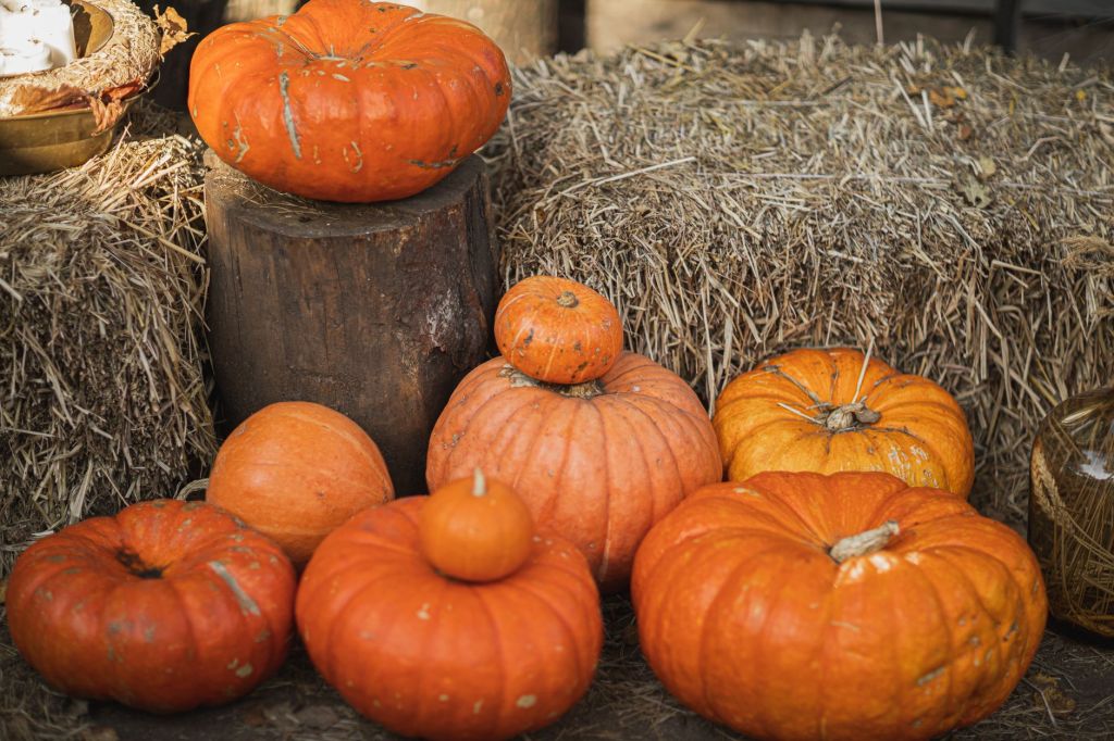 Angera, torna la Festa della Zucca: mercatini e sapori d’autunno sul&nbsp;lungolago