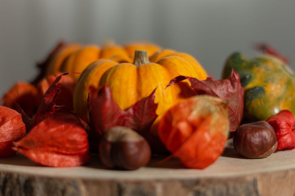 Frutti d’Autunno torna a Sesto Calende: un weekend tra tradizioni, mestieri e sapori