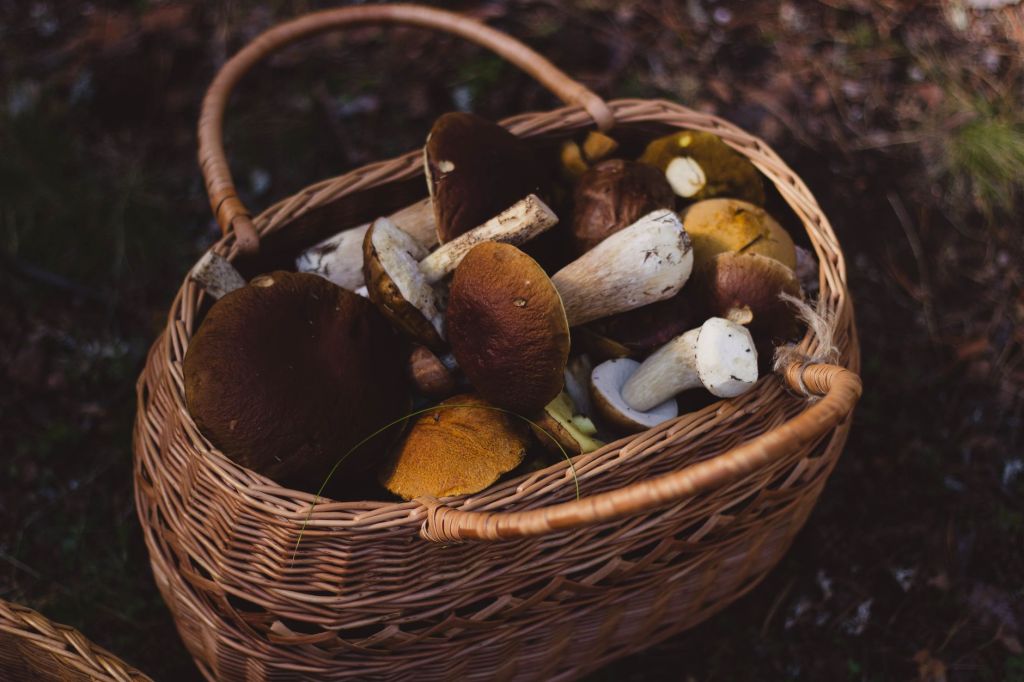 Profumi e Sapori d’Autunno torna a Biumo Inferiore: una giornata tra sport, musica, cibo e&nbsp;tradizioni